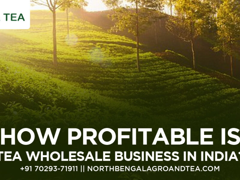 how-profitable-is-tea-wholesale-business-in-india