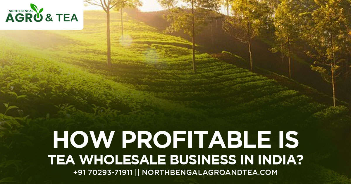 how-profitable-is-tea-wholesale-business-in-india