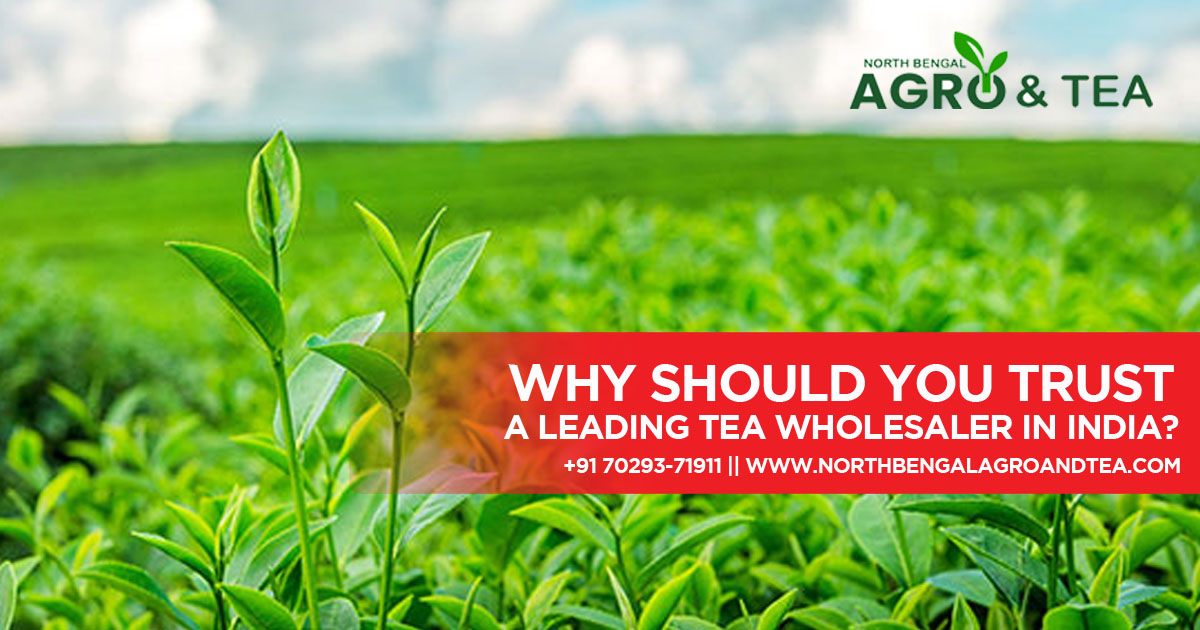 why-should-you-trust-a-leading-tea-wholesaler-in-india