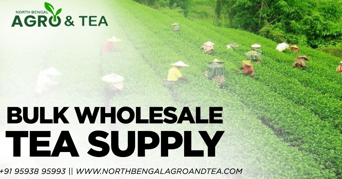 bulk-wholesale-tea-supply