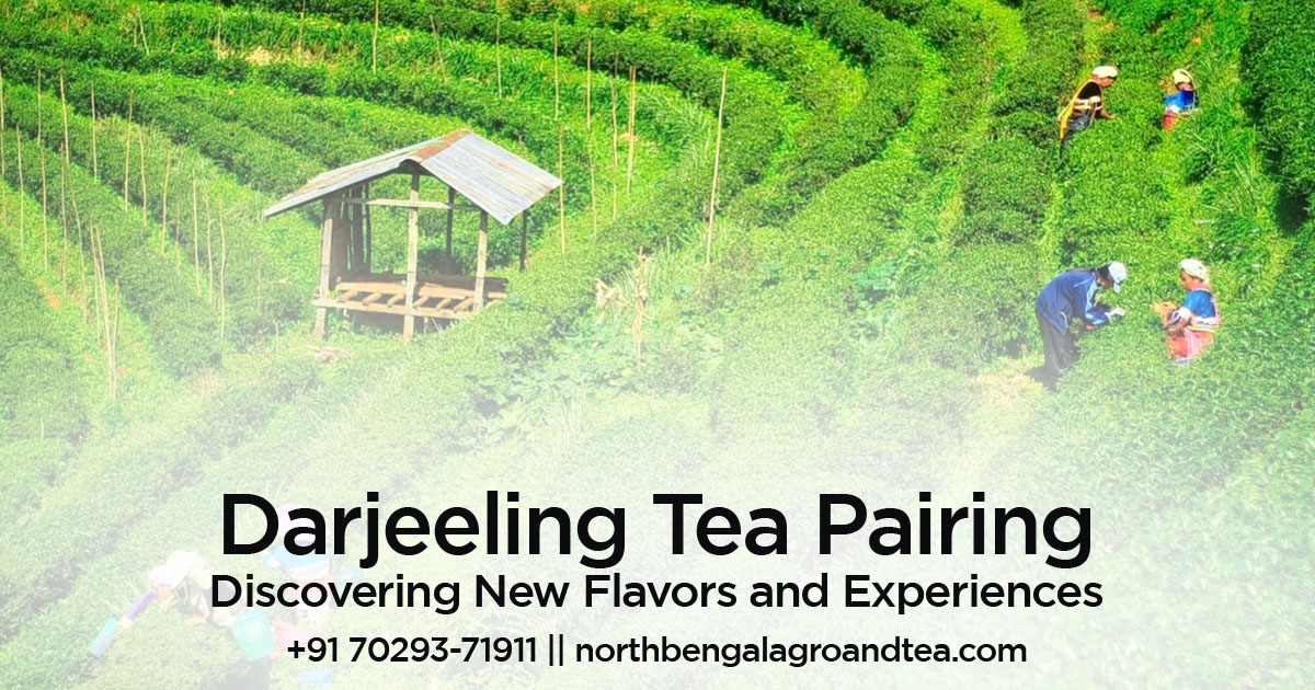 darjeeling-tea-pairing-discovering-new-flavors-and-experiences