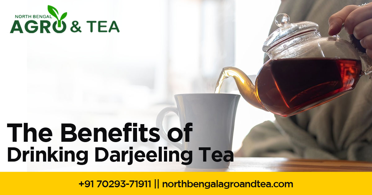 the-benefits-of-drinking-darjeeling-tea-from-health-to-well-being