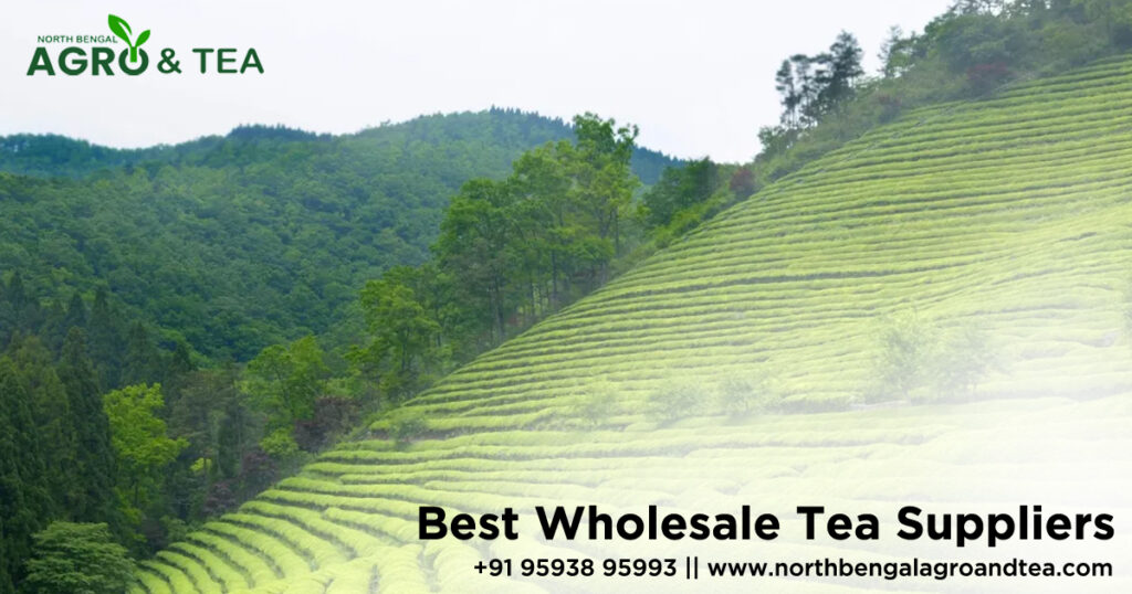 Best Wholesale Tea Suppliers Important Information