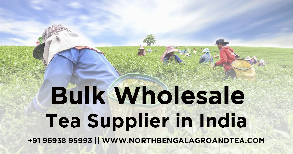 bulk-wholesale-tea-supplier-in-india-a-deep-dive-into-the-tea-supply-business