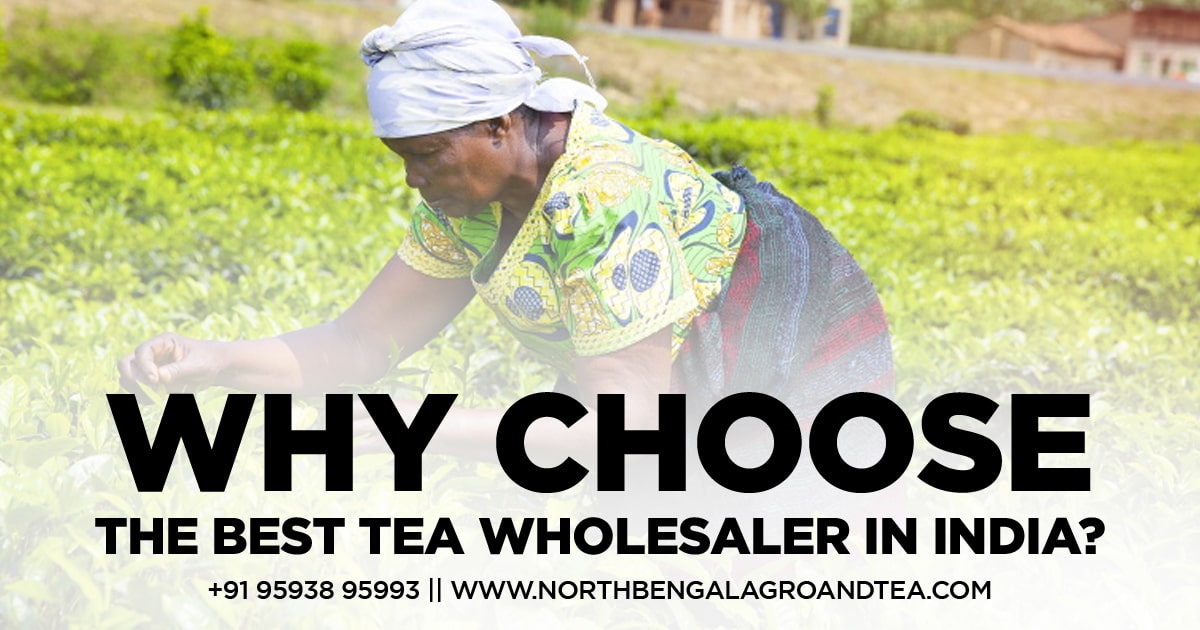 why-choose-the-best-tea-wholesaler-in-india