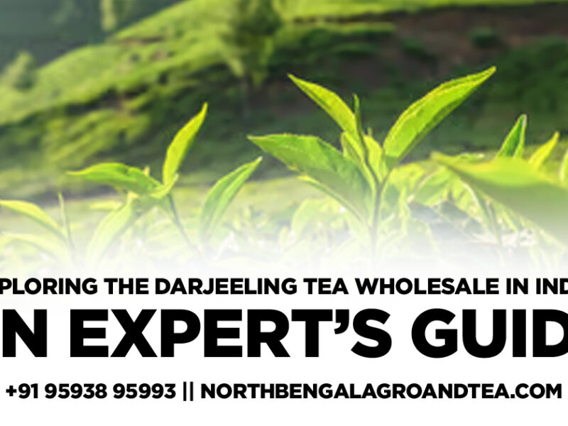 exploring-the-darjeeling-tea-wholesale-in-india