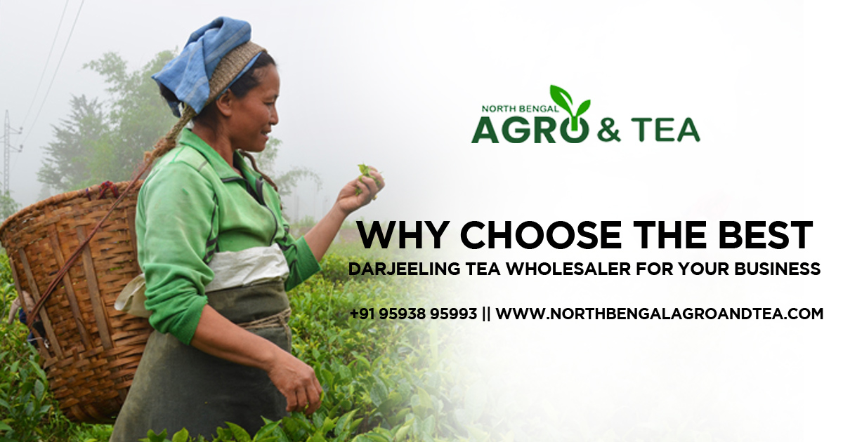 Why Choose the Best Darjeeling Tea Wholesaler for Your Business