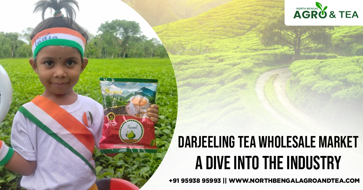 darjeeling-tea-wholesale-market