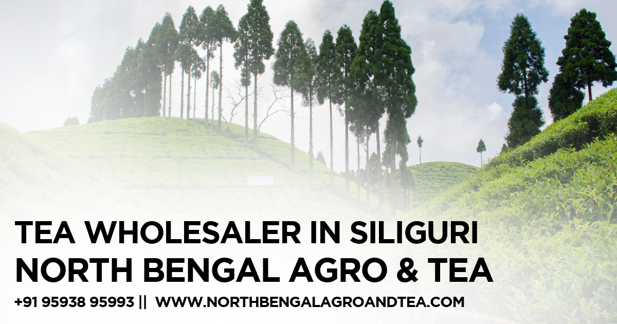 tea-wholesaler-in-siliguri