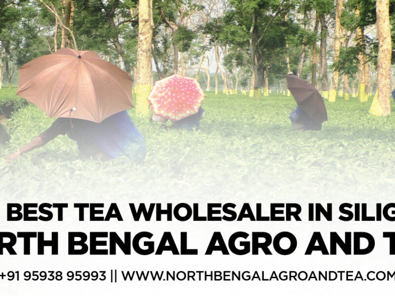 the-best-tea-wholesaler-in-siliguri