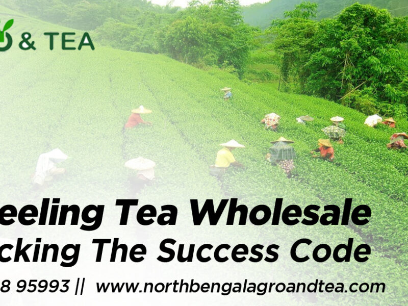 darjeeling-tea-wholesale