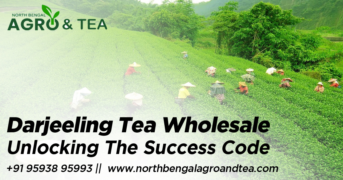 darjeeling-tea-wholesale