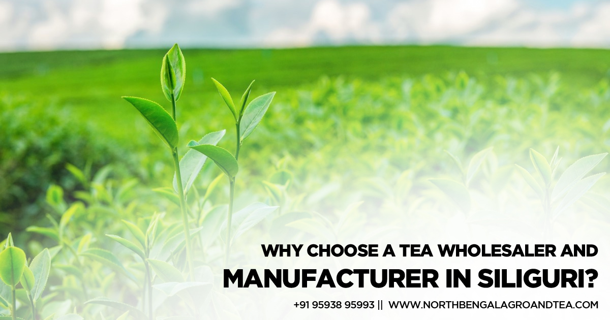 why-choose-a-tea-wholesaler-and-manufacturer-in-siliguri